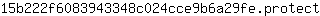 1***t