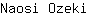 N***i