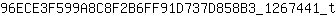 9***t
