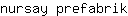 n***k