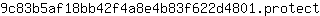 9***t