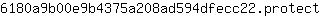 6***t