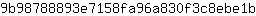9***b