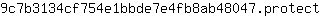 9***t
