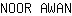 N***N