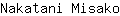 N***o