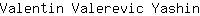 V***n