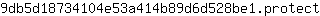 9***t