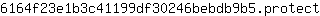 6***t
