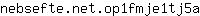 n***a