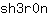 s***n