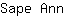 S***n