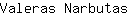 V***s
