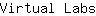 V***s