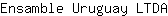 E***A