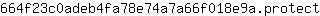 6***t