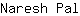 N***l
