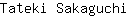 T***i