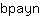 b***n