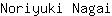 N***i