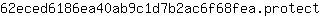 6***t