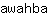 a***a