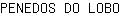 P***O