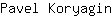 P***n