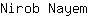 N***m