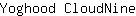 Y***e