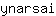 y***i