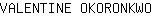 V***O