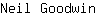 N***n