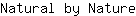 N***e