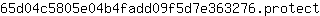 6***t