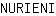 N***I