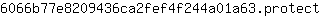 6***t