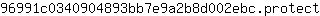 9***t