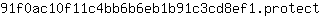 9***t