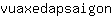 v***n