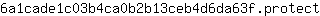 6***t