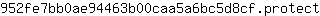 9***t