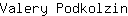 V***n