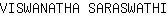 V***I