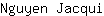 N***i