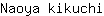 N***i