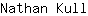 N***l