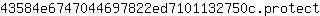 4***t