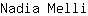 N***i