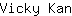 V***n